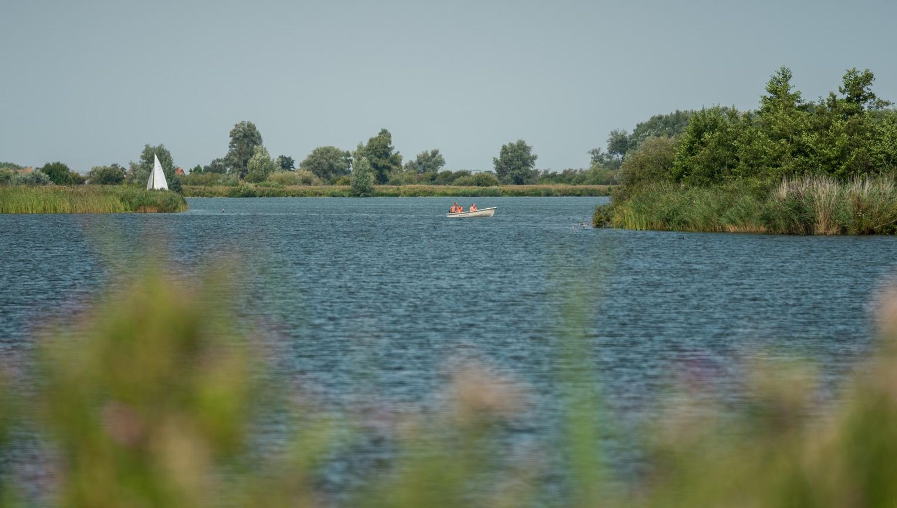 nature-and-active-in-ndsm-i-amsterdam